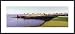 Golf Course In Hawaii Resort by unknown 36.00X12.00 Framed with Black Metal Frame