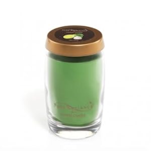 Yankee Candle Pure Radiance Key Lime Small Vase