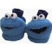 Sesame Street, Cookie Monster, Warm Slipper Shoes, Great for Halloween Costume Kid Size 5-6, New