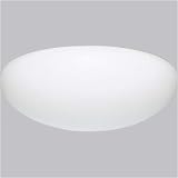 Progress Lighting White Four-Light Fluorescent Ceiling Light