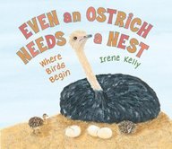 F.R.E.E Even an Ostrich Needs a Nest: Where Birds Begin Z.I.P
