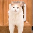 PetSafe Cat Flap