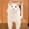 PetSafe Cat Flap