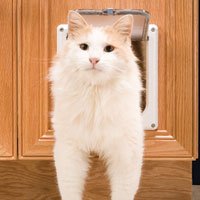 PetSafe Cat Flap