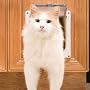 PetSafe Cat Flap