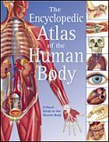 The Encyclopedic Atlas of the Human Body (A Visual Guide to the Human Body)