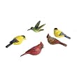 Bird Magnets - 12 Asst. Bird Magnets - 12 Asst.