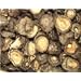 Shiitake Mushrooms Caps 16 oz.