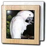 Moluccan Cockatoo - 6 Inch Tile Napkin Holder