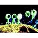 Rising Threat of Infectious Disease