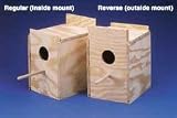 TopDawg Pet Supply Ware Wood Nesting Box Cockatiel Reverse