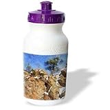 Boehm Digital Paint Mountains - Colorado Mountains Rocky Pine - Water Bottles