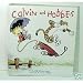 Calvin and Hobbes