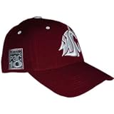 Washington State Cougars Adult Adjustable Hat