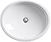KOHLER K-2874-0 Canvas Cast Iron Bathroom Sink, White