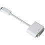 Apple M9321G/B Mini-DVI to DVI Adapter
