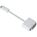 Apple M9321G/B Mini-DVI to DVI Adapter
