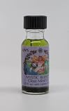 Clear Mind - Sun's Eye Mystic Blends Oils - 1/2 Ounce Bottle