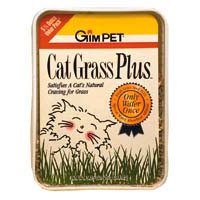 CatGrass Plus - Water only once by Gimborn