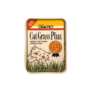 CatGrass Plus - Water only once by Gimborn