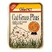 CatGrass Plus - Water only once
