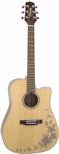 MusicalInstruments: Takamine G530SBF Dreadnought Solid Top Acoustic Guitar   Butterfly Motif