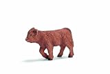 Scottish Highland Calf