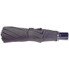 Buy American Tourister Umbrellas Mini Automatic Open Close by American Tourister