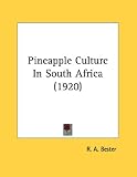 Pineapple Culture In South Africa (1920)