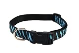 Small Turquoise/Black Zebra Dog Collar: 5/8