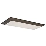 Buy Two-Light Flushmount Ceiling Light Fixture by American Fluorescent