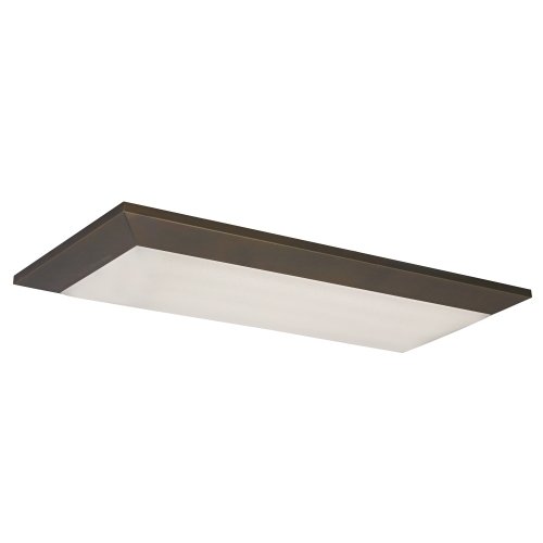 Two-Light Flushmount Ceiling Light Fixture