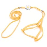 Coastal Pet Products Li'l Pals Daisy Combo Harness and Lead for Puppies and Toy Breeds