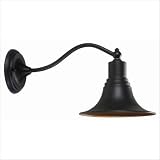 World Imports Lighting 9098-89 / 9097-89 / 9099-89 Dark Sky Outdoor Wall Lantern in Bronze Size: Small