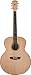 Washburn WD45Series WJ45S Acoustic Guitar