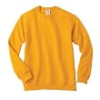 Youth Crewneck Sweatshirt