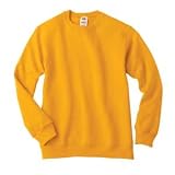 Youth Crewneck Sweatshirt
