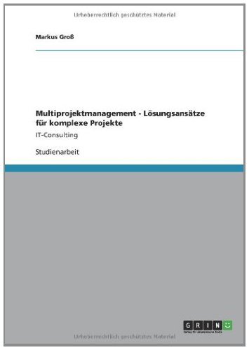 Multiprojektmanagement - Lösungsansätze für komplexe Projekte: IT-Consulting (German Edition)