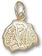 Chicago Blackhawks Head Logo 5/16" Charm/Pendant