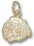 Chicago Blackhawks Head Logo 5/16 Charm/Pendant