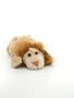 KooKeys Lion