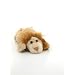 KooKeys Lion