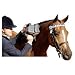 Thumper Equine Massager