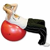 85 cm Pro Exercise Ball with Pump