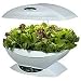 AeroGarden Salad Bar Mesclun Mix Seed Kit