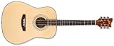 ESP LTD Xtone D-5 Guitar Natural
