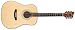 ESP LTD Xtone D-5 Acoustic Guitar Natural