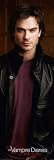 Empire 417077 Vampire Diaries, The - Damon Salvatore T&uuml;rposter - 53 x 158 cm