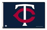 MLB Minnesota Twins 3-Foot x 5-Foot Banner Flag