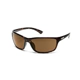 SunCloud Sentry Polarized Sunglasses
